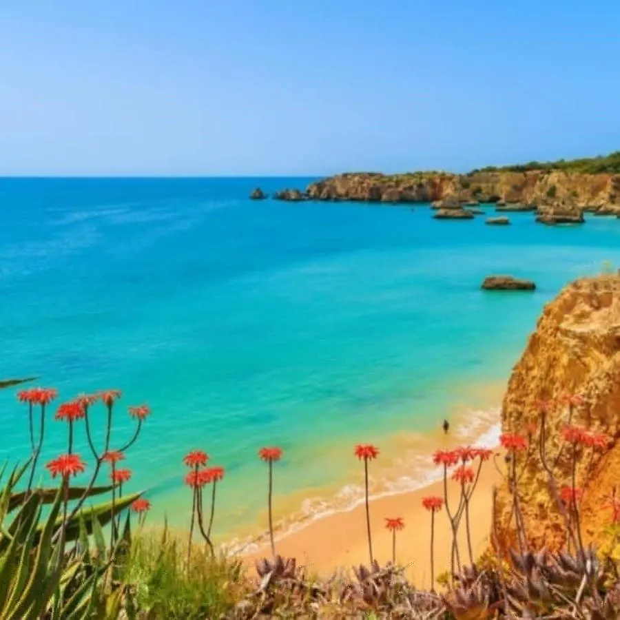 Paraiso De Alvor - A True Paradise In An Amazing Nature Place With Direct Access To The Pool - Peace And Relax - Next To Alvor Village And The Beach Portogallo